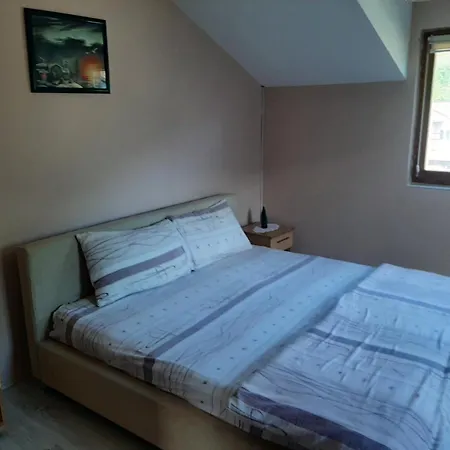 Miodragovic - Nedaleko Od Sneznika, 100 Metara Pre Bazena *