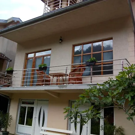 Miodragovic - Nedaleko Od Sneznika, 100 Metara Pre Bazena * Vrnjačka Banja