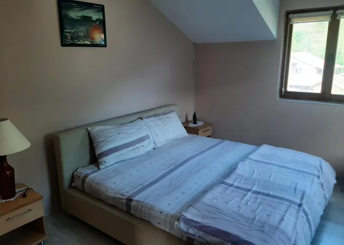 Miodragovic - Nedaleko Od Sneznika, 100 Metara Pre Bazena *