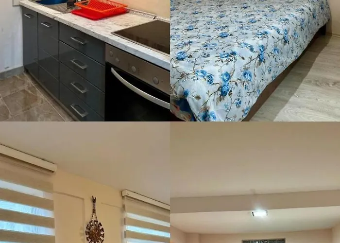 Miodragovic - Nedaleko Od Sneznika, 100 Metara Pre Bazena