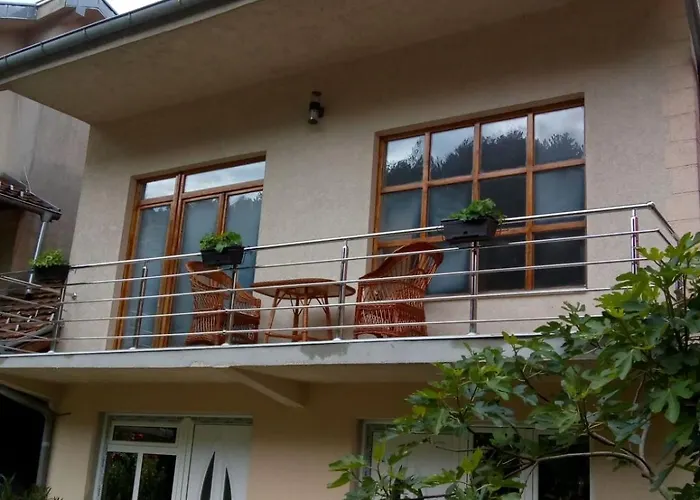 Miodragovic - Nedaleko Od Sneznika, 100 Metara Pre Bazena * Vrnjačka Banja