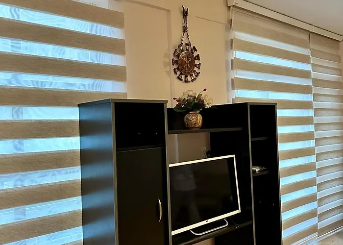 Apartment Miodragovic - Nedaleko Od Sneznika, 100 Metara Pre Bazena Vrnjačka Banja