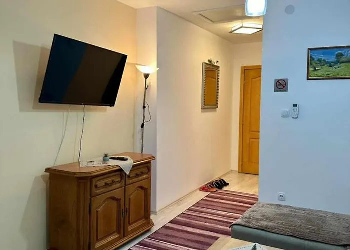 Miodragovic - Nedaleko Od Sneznika, 100 Metara Pre Bazena