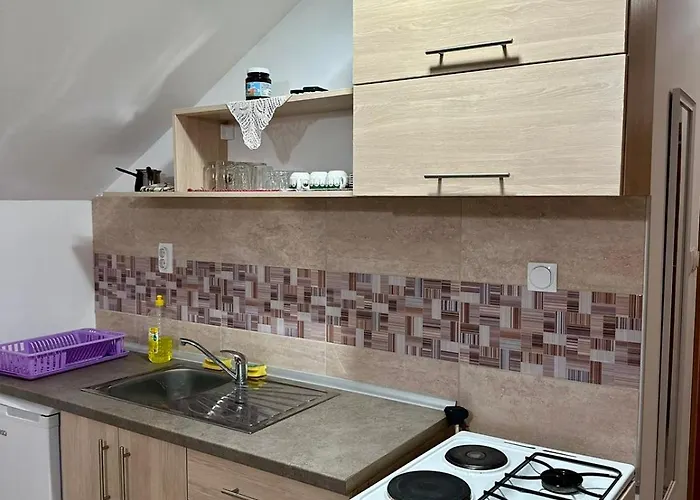 Miodragovic - Nedaleko Od Sneznika, 100 Metara Pre Bazena