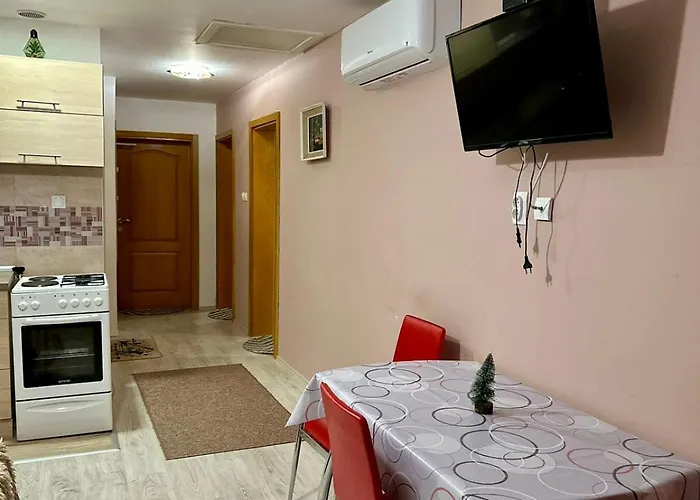 Apartment Miodragovic - Nedaleko Od Sneznika, 100 Metara Pre Bazena Vrnjačka Banja