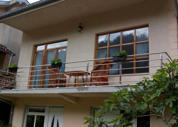 Miodragovic - Nedaleko Od Sneznika, 100 Metara Pre Bazena * Vrnjačka Banja